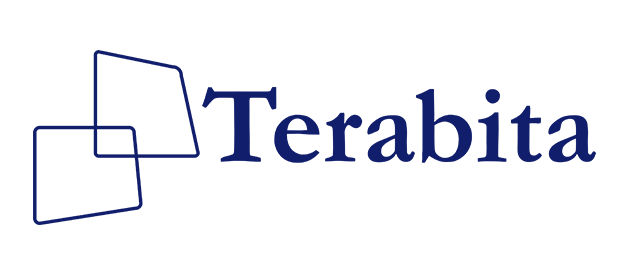 Терабита Выборг