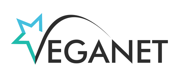 VegaNet Клин